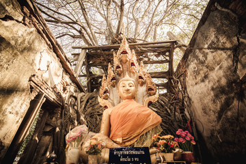 Buddha statue in the old temple
