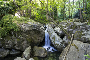 Fototapeta na wymiar Small waterfall on the way between Ioannis to Volos, Greece