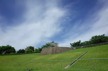 Fototapeta premium 初夏の公園