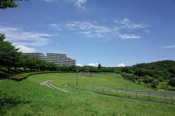 Obraz premium 初夏の公園