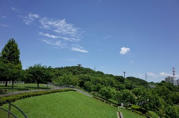 初夏の公園