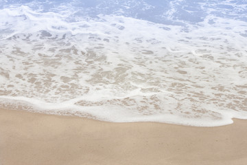 beach and tropical sea
