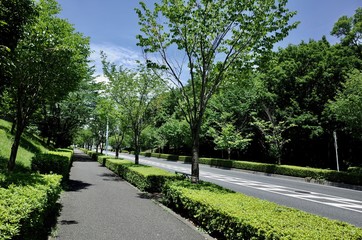 初夏の公園