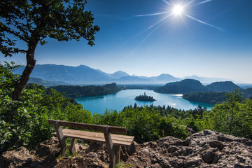 Bench overlooking Bled lake panoramic vista in full summer sun - obrazy, fototapety, plakaty