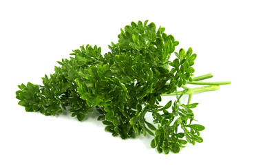 Obraz premium parsley bunch isolated on white background