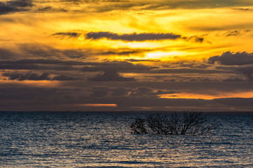 Golden sunset at Weeroona Island located in Germein Bay South Australia