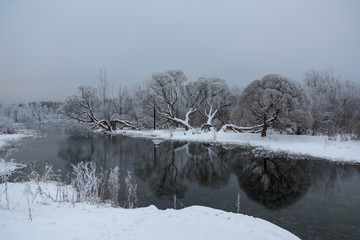 Winter ice-pond with trees on the shore