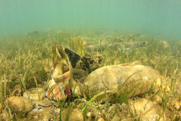 Plastic bottles and other garbage pollution on sea floor