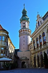 Fototapeta na wymiar Feuerturm in Sopron