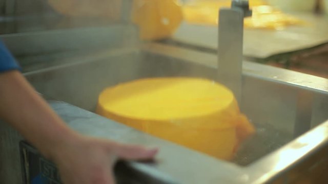 Cheese packaging process. Close up of cheese processing at food factory. Production food. Cheese factory manufacturing process. Cheese wheel on manufacturing line at food plant. Food processing plant