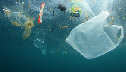 Plastic carrier bags and other garbage pollution in ocean