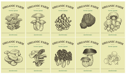 Labels with various Mushrooms. Set templates price tags for shops and markets of organic food. Vector illustration art. Vintage. Hand drawnf nature objects.