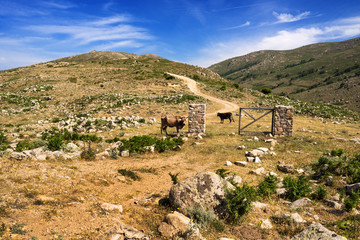 Gennargentu, Sardegna, Italia