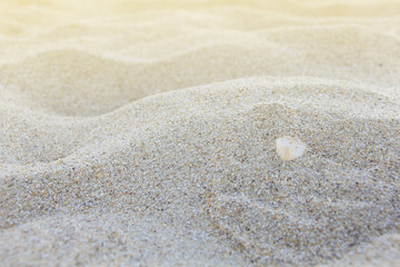 Fototapeta na wymiar Texture of sand ; selective focus