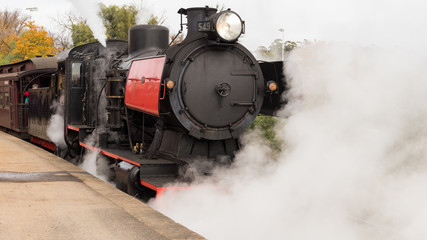 Obraz na płótnie Canvas steam train
