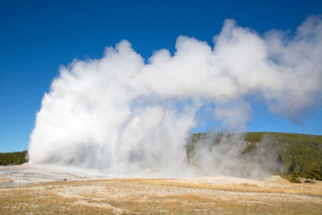 Geyser