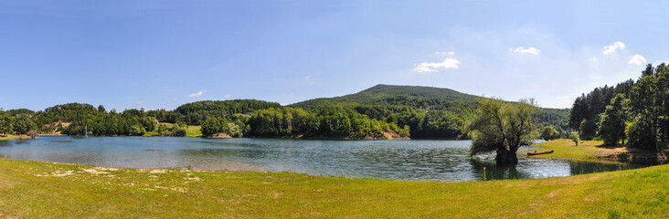 Naklejka premium Beautiful mountain lake with lonely tree in water. Summer landscape with clean mountain lake