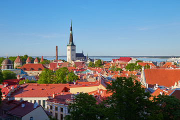 Obraz premium View of the city of Tallinn from the top in a clear sunny day.