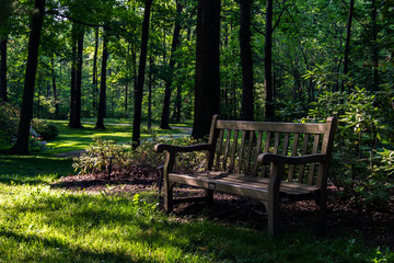 Bench in the shade