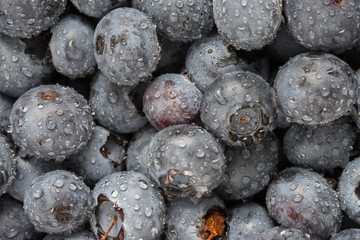Nahaufnahme Blaubeeren mit Wasser