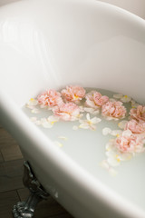 White bath with milk and rose petals. Relaxation and harmony
