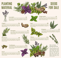 Herb and spice poster template for organic shop design