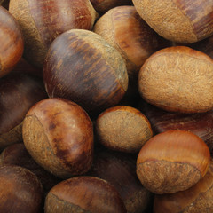 chestnuts background