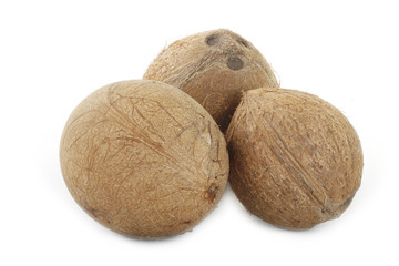 coconuts isolated