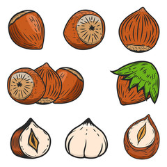 Set of hazelnuts icons isolated on white background. Design elements for logo, label, emblem, sign, poster. Vector illustration.