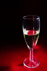 Champagne glass on red background - 163645197