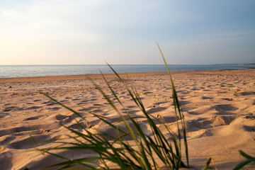 Summer evening by Baltic sea.