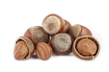 hazelnuts isolated