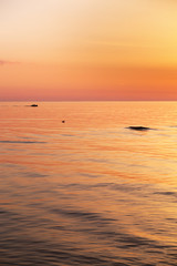 Summer evening by Baltic sea.