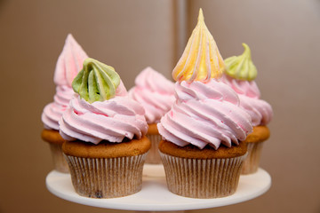 Multi-colored cream cup cakes
