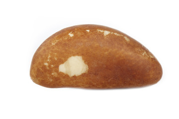 brazil nut isolated