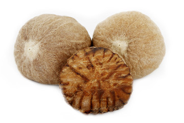 nutmegs isolated
