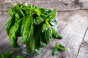 Green fresh organic basilic on the wooden table. Rustic style