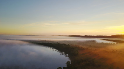 Drone photography & Swamps (bog) hiking track