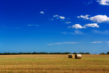 Rural landscape with golden straw bales.