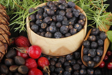 juniper berries, cedar cone and dog rose berries on wooden background