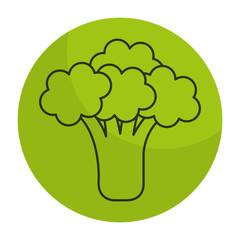 broccoli fresh isolated icon vector illustration design