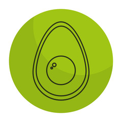 avocado fresh isolated icon vector illustration design