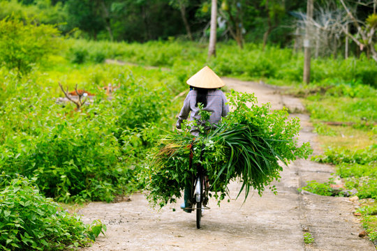 B&auml;uerin in Vietnam