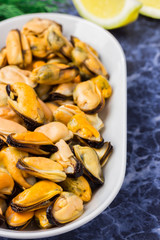  Delicious seafood in a plate on blue marble background.