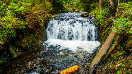 Upper Rolley Falls in the temperate rain forest of Rolley Lake Provincial Park near the town of Mission in British Columbia, Canada