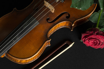 Obraz premium Violin and rose on black background.