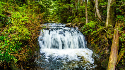 Fototapeta premium Upper Rolley Falls in the temperate rain forest of Rolley Lake Provincial Park near the town of Mission in British Columbia, Canada