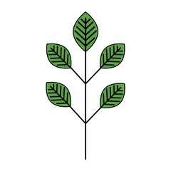 leafs plant ecology icon vector illustration design