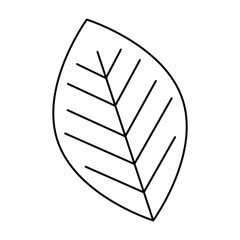 leafs plant ecology icon vector illustration design
