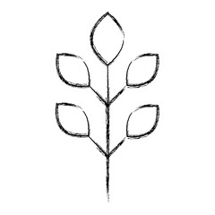 leafs plant ecology icon vector illustration design